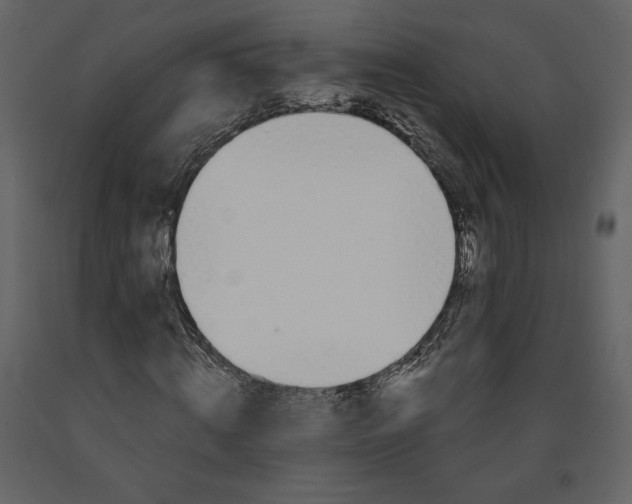 X0000091210820200708231605