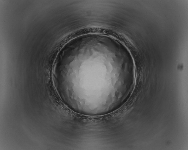 X0000091210821200708231605