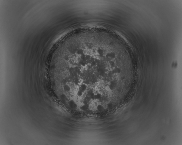 X0000091210823200708231605