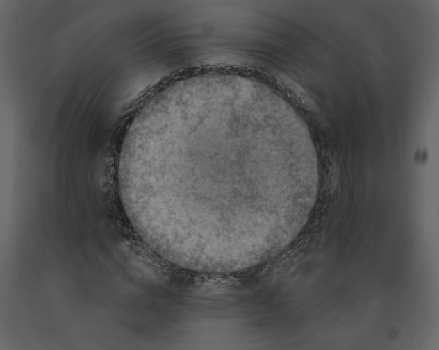X0000091210824200708231605
