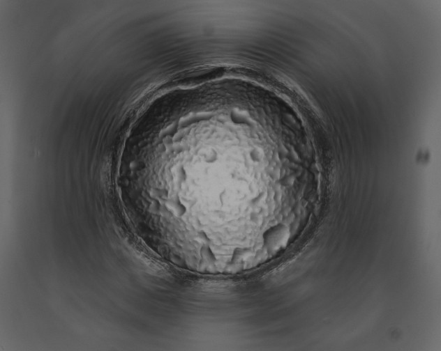 X0000091210825200708231605
