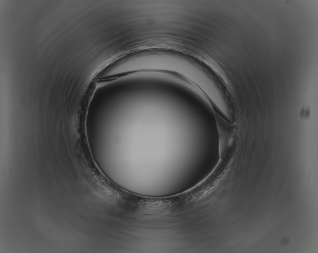 X0000091210826200708231605