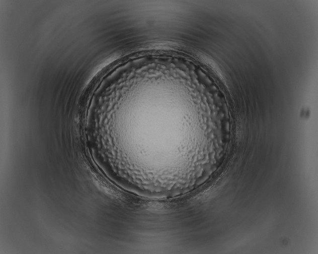 X0000091210827200708231605