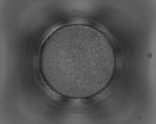 X0000091210828200708231605