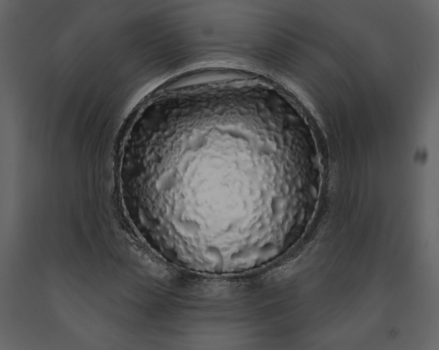 X0000091210829200708231605