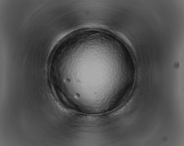 X0000091210831200708231605