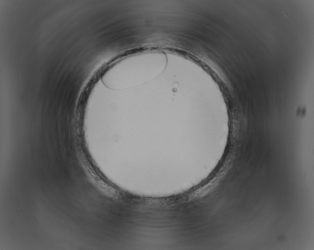 X0000091210832200708231605
