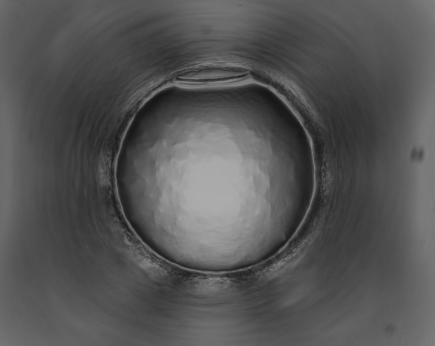 X0000091210833200708231605