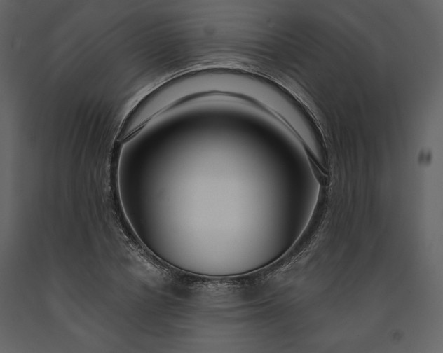 X0000091210834200708231605