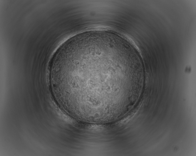 X0000091210835200708231605