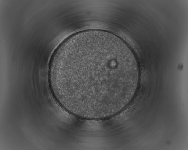 X0000091210836200708231605