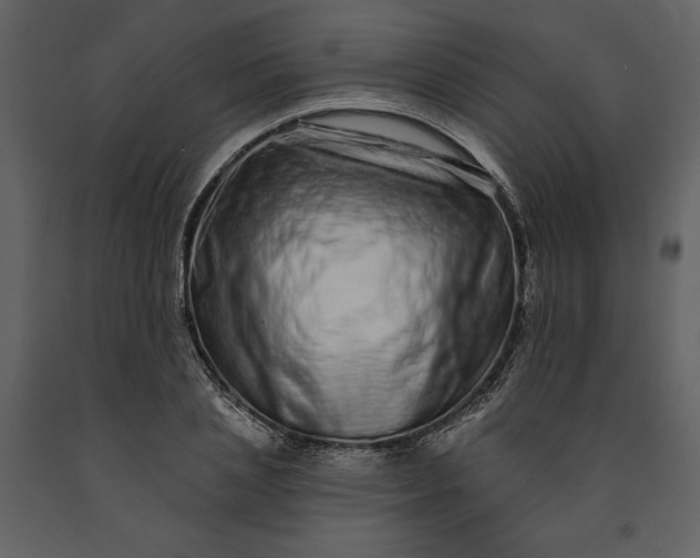 X0000091210837200708231605
