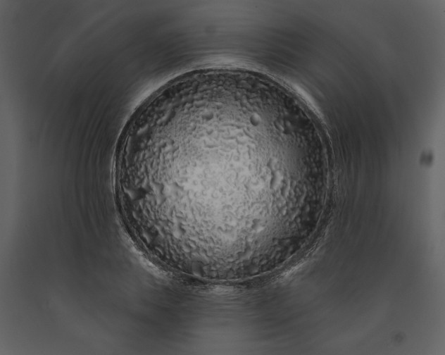 X0000091210839200708231605