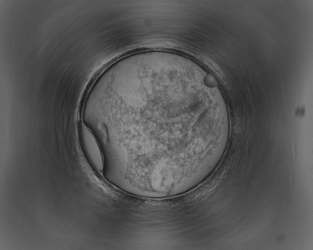 X0000091210840200708231605