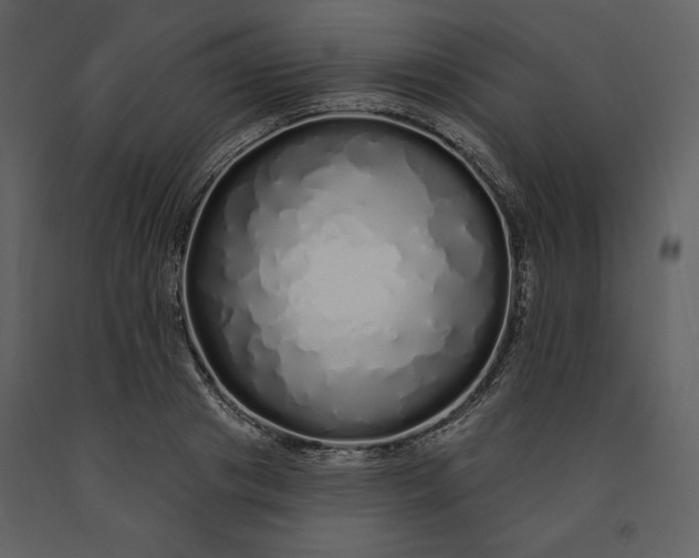 X0000091210841200708231605