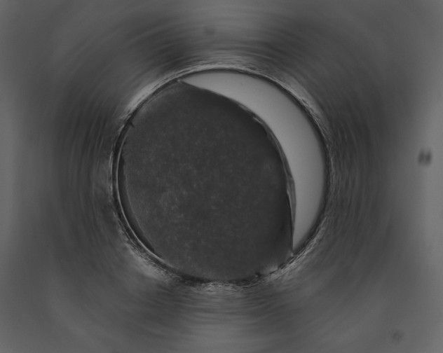 X0000091210842200708231605