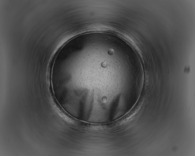 X0000091210843200708231605