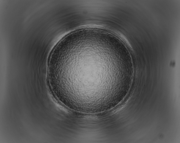 X0000091210844200708231605