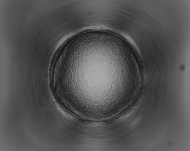 X0000091210845200708231605