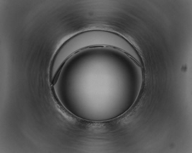 X0000091210846200708231606