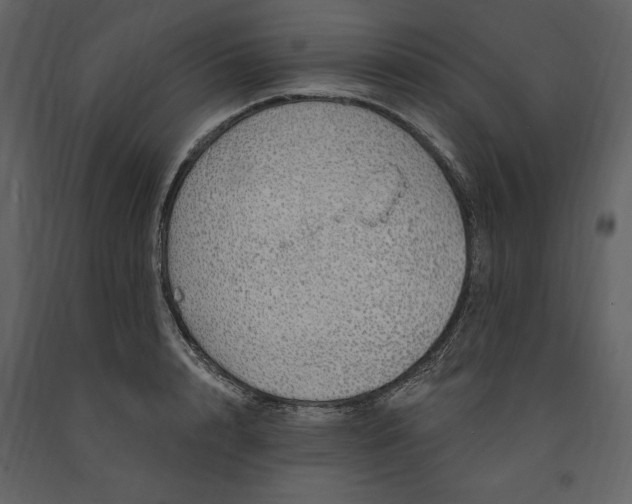X0000091210848200708231606