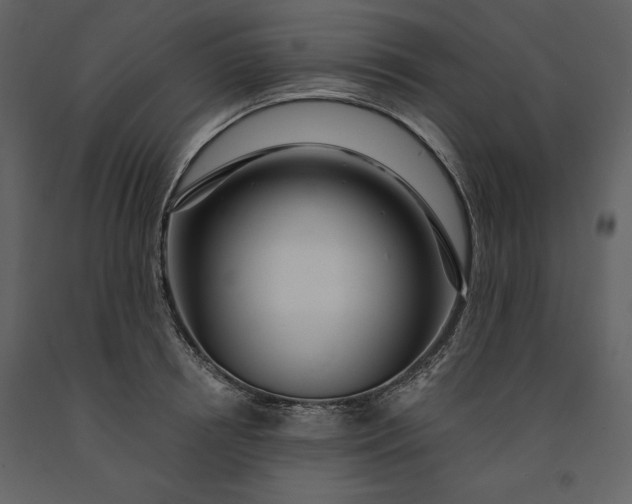 X0000091210850200708231606