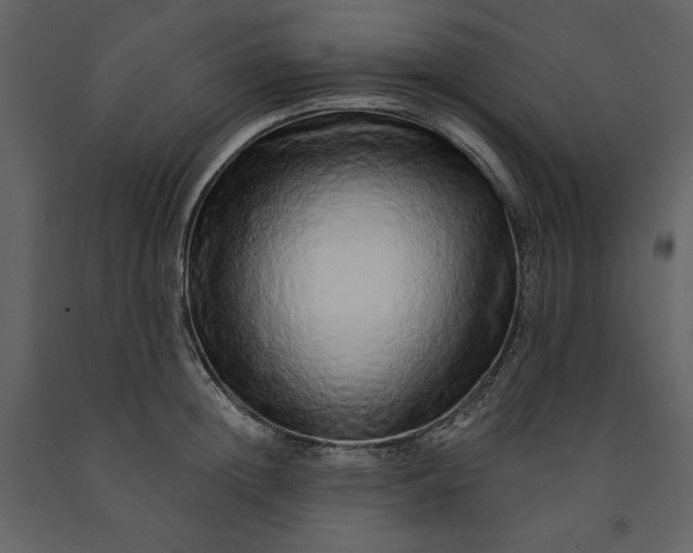 X0000091210852200708231606
