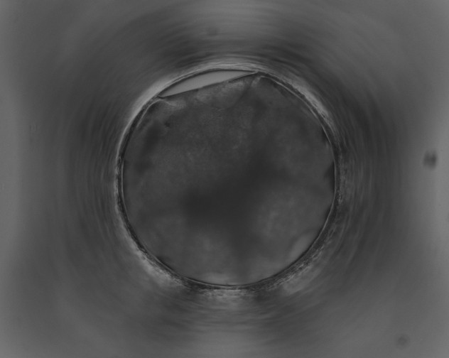 X0000091210853200708231606