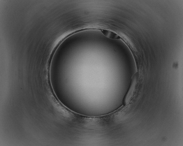 X0000091210854200708231606
