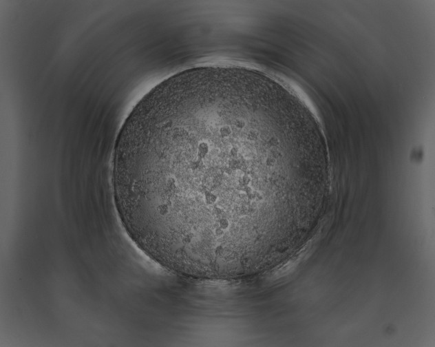 X0000091210855200708231606