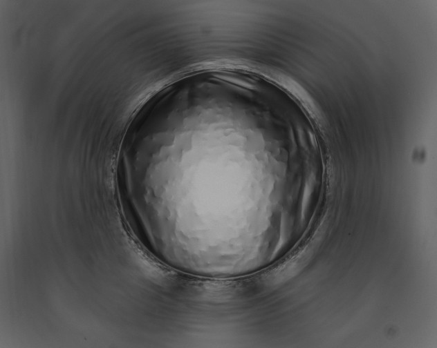 X0000091210857200708231606