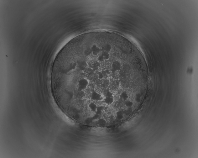 X0000091210859200708231606