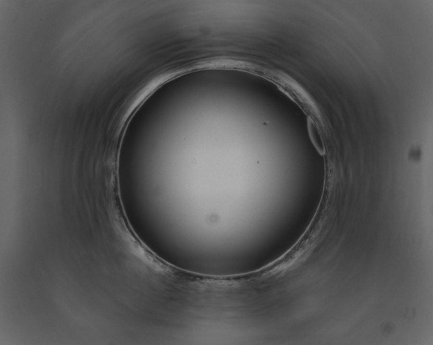 X0000091210860200708231606