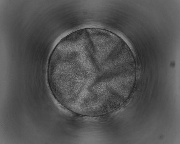 X0000091210861200708231606
