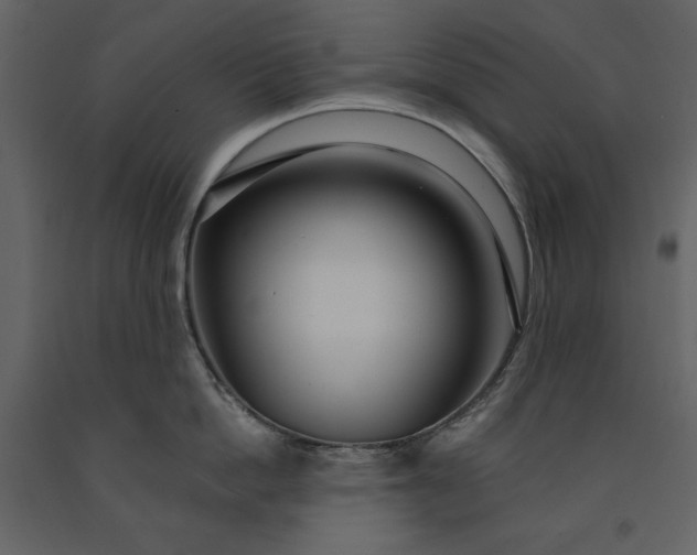 X0000091210862200708231606