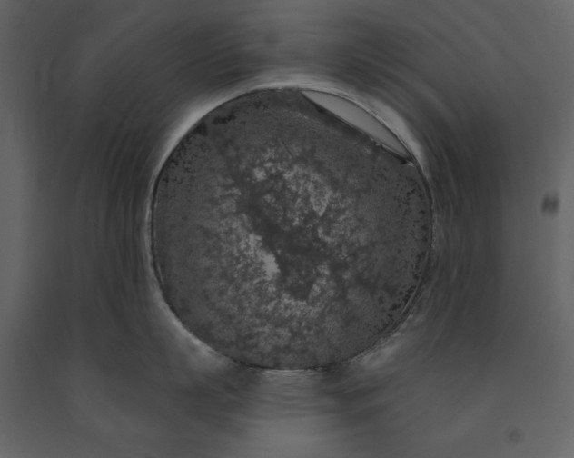 X0000091210863200708231606