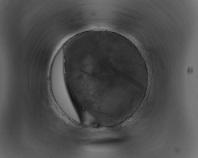 X0000091210864200708231606