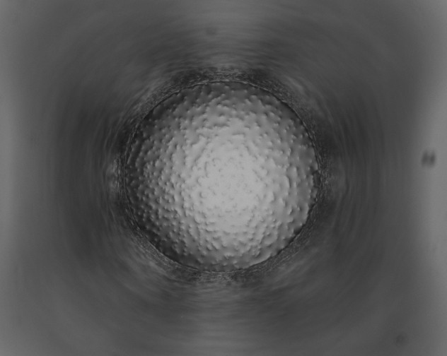 X0000091210866200708231605
