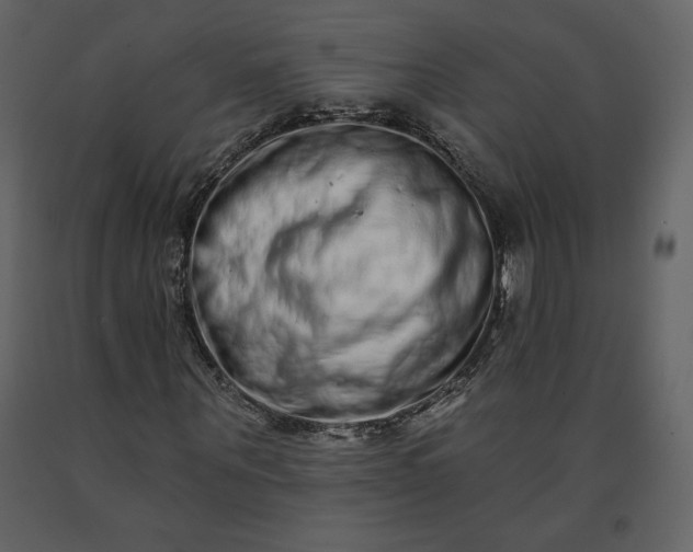 X0000091210867200708231605