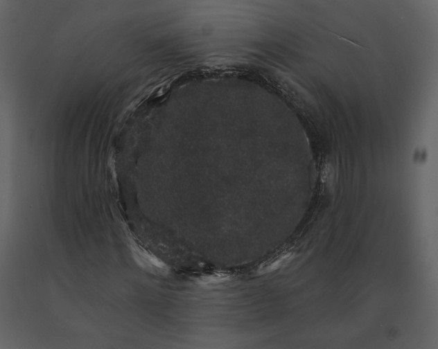 X0000091210868200708231605