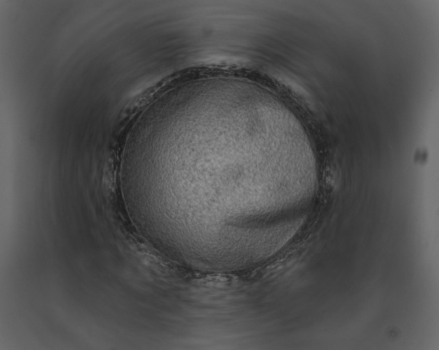 X0000091210869200708231605