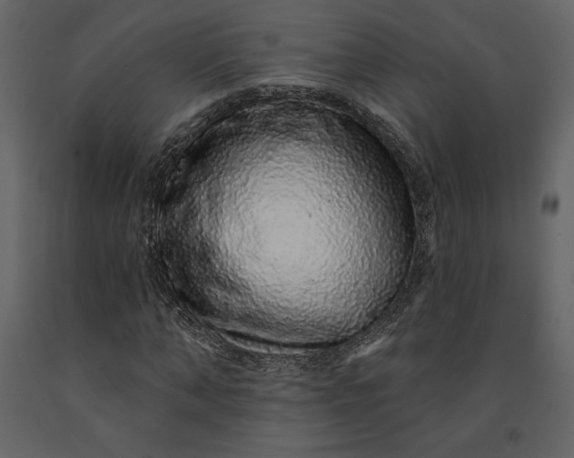 X0000091210870200708231605