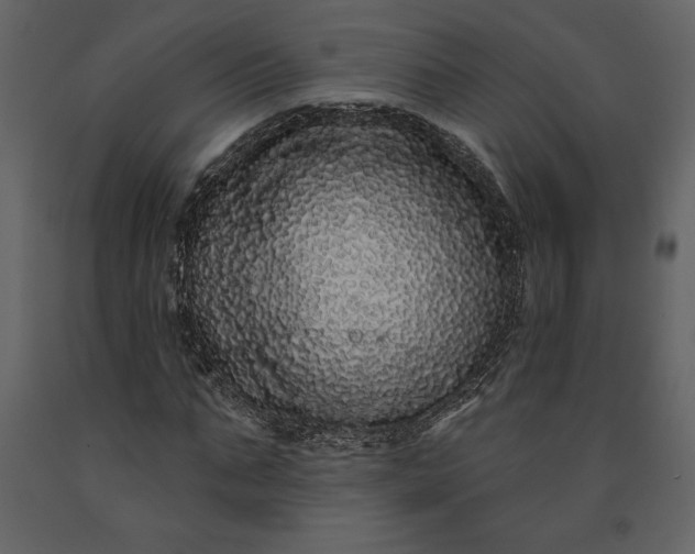 X0000091210871200708231605