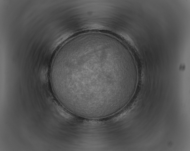 X0000091210873200708231605