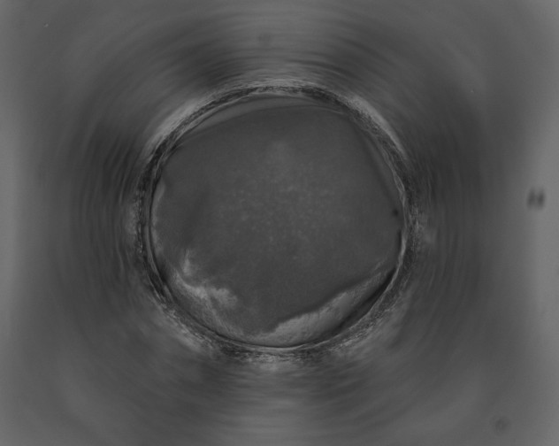 X0000091210874200708231605