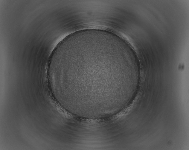 X0000091210875200708231605