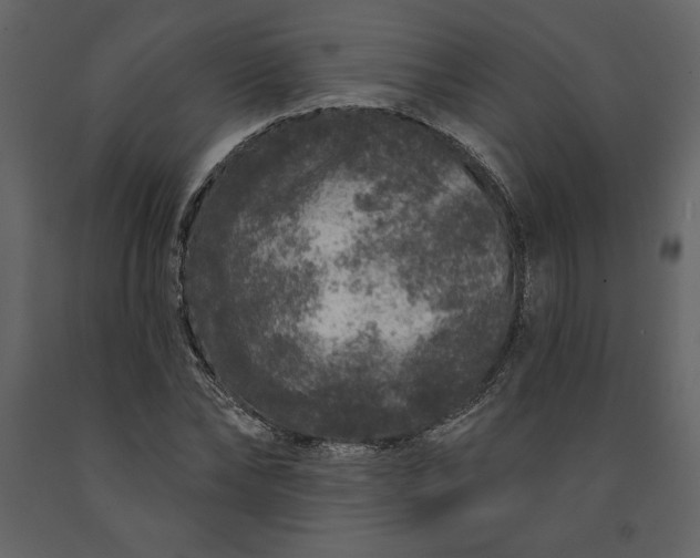 X0000091210878200708231605