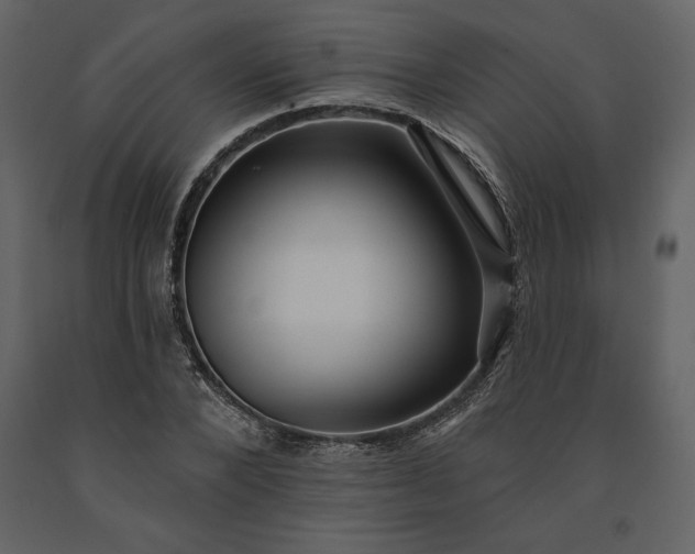 X0000091210880200708231605