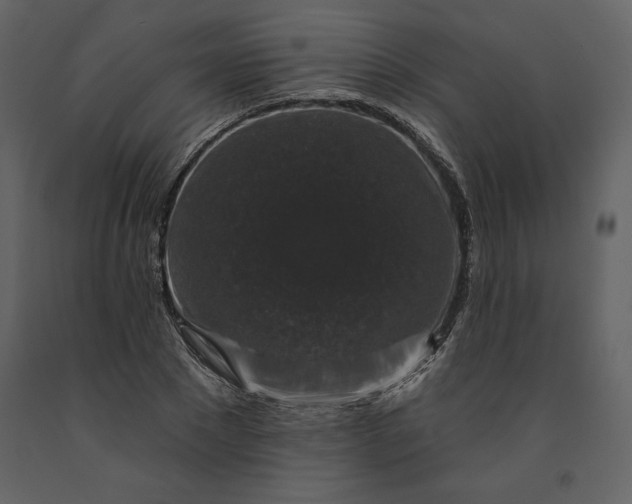 X0000091210881200708231605