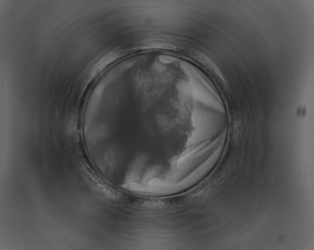 X0000091210882200708231605